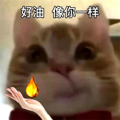 2025最火搞笑图片头像
