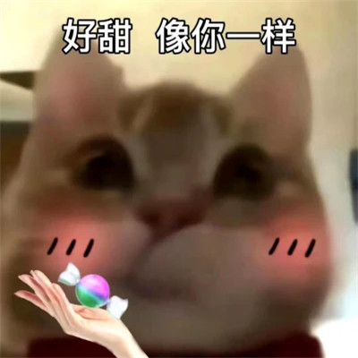 2025最火搞笑图片头像