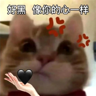 2025最火搞笑图片头像