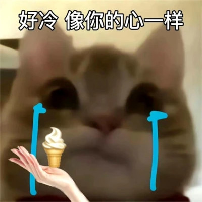 2025最火搞笑图片头像
