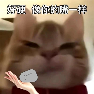 2025最火搞笑图片头像