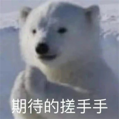 2025最火搞笑图片头像