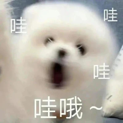 2025最火搞笑图片头像