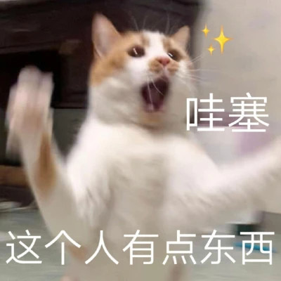 2025搞笑可爱表情包