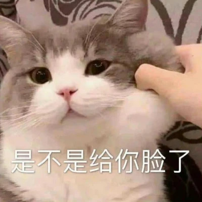 2025搞笑可爱表情包