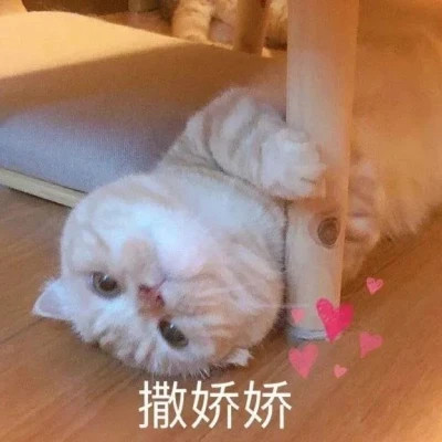2025搞笑可爱表情包