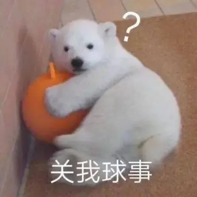 2025搞笑可爱表情包