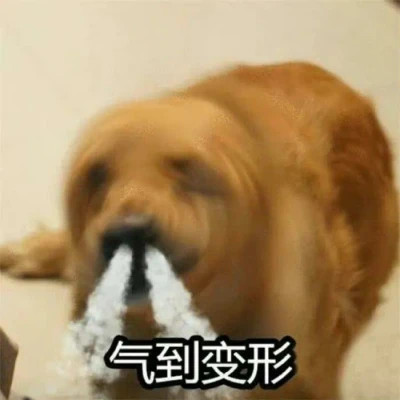 2025搞笑可爱表情包