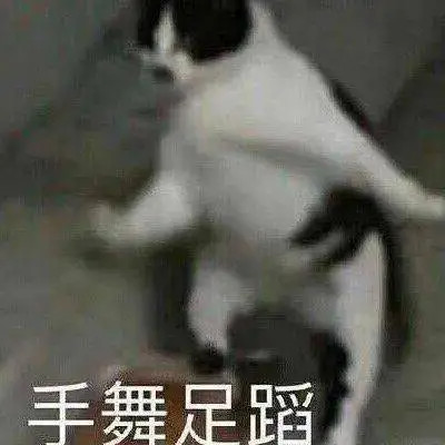 2025搞笑可爱表情包