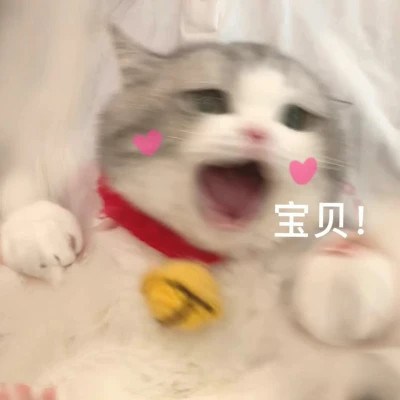 2025搞笑可爱表情包