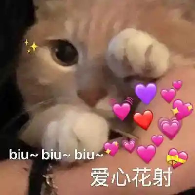2025搞笑可爱表情包
