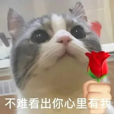 2025搞笑可爱表情包