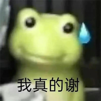 2025搞笑可爱表情包