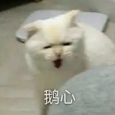 2025搞笑可爱表情包