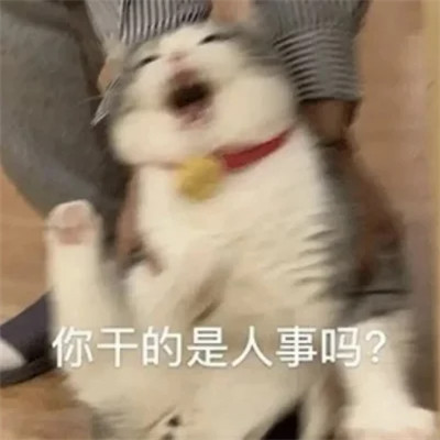 2025搞笑可爱表情包