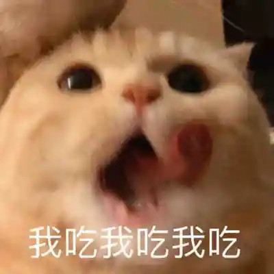 2025搞笑可爱表情包