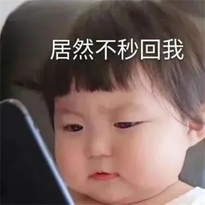 2025全网最火搞笑表情包