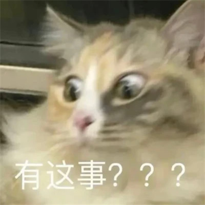 2025全网最火搞笑表情包