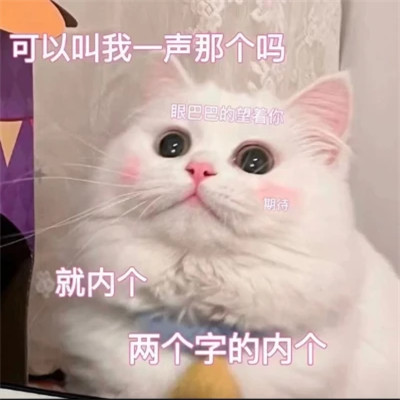 2025全网最火搞笑表情包