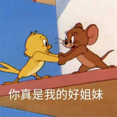 2025全网最火搞笑表情包