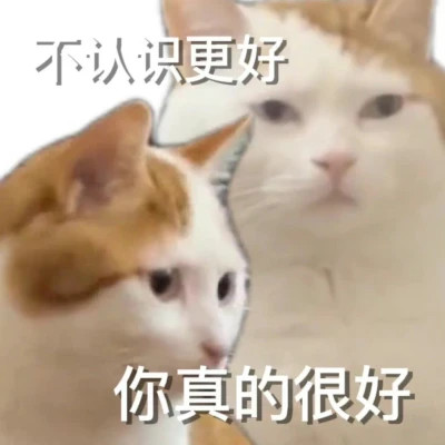 2025全网最火搞笑表情包