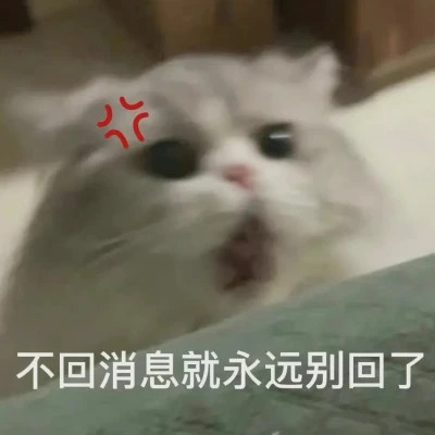 2025全网最火搞笑表情包