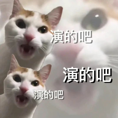 2025全网最火搞笑表情包