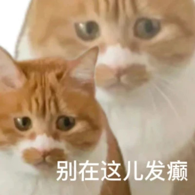 2025全网最火搞笑表情包