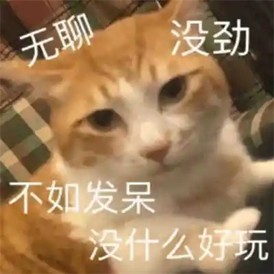 2025全网最火搞笑表情包