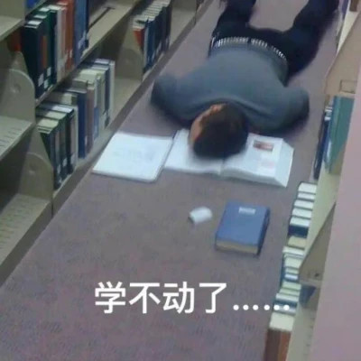 2025全网最火搞笑表情包