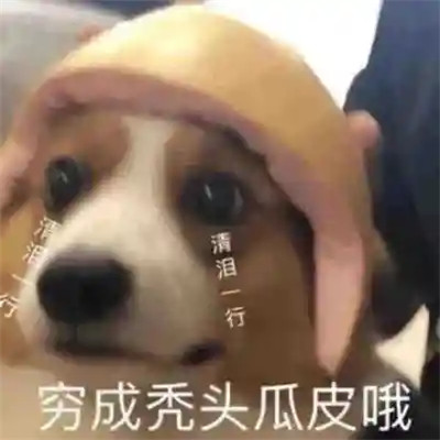 2025全网最火搞笑表情包