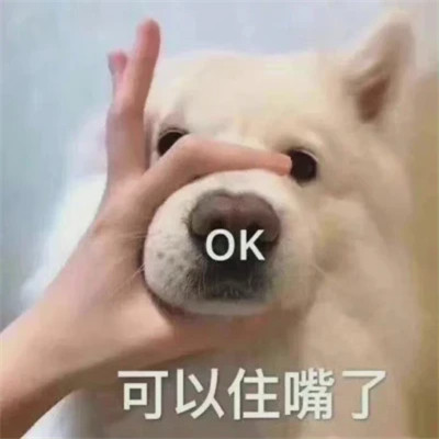 2025全网最火搞笑表情包