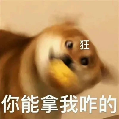 表情包图片大全2025