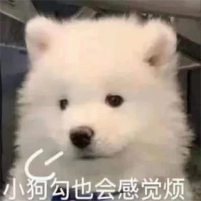 表情包图片大全2025