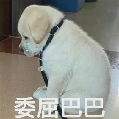 表情包图片大全2025