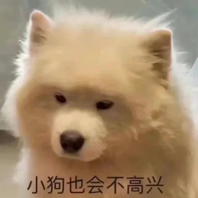 表情包图片大全2025