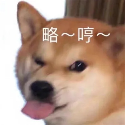 表情包图片大全2025