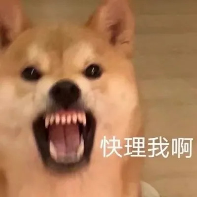 表情包图片大全2025