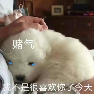 表情包图片大全2025