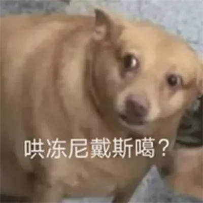 表情包图片大全2025
