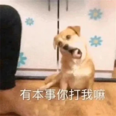 表情包图片大全2025