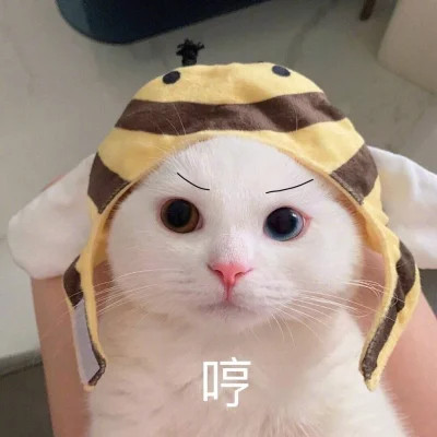 表情包图片大全2025
