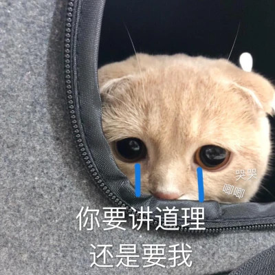 表情包图片大全2025