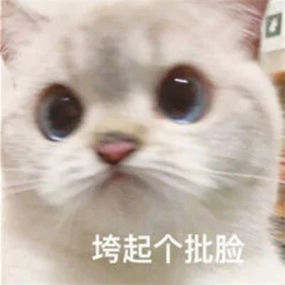 表情包图片大全2025