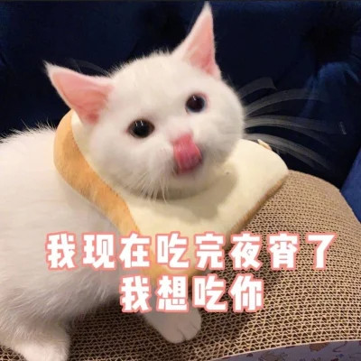 表情包图片大全2025