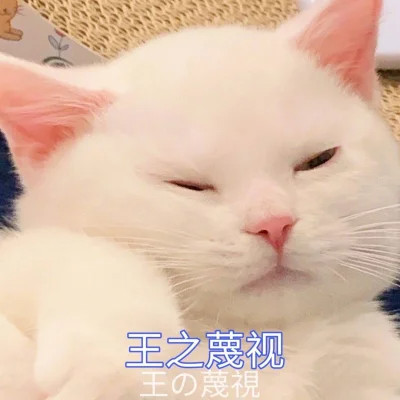 表情包图片大全2025