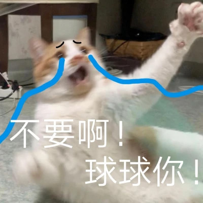 表情包图片大全2025