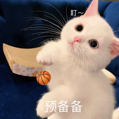 表情包图片大全2025
