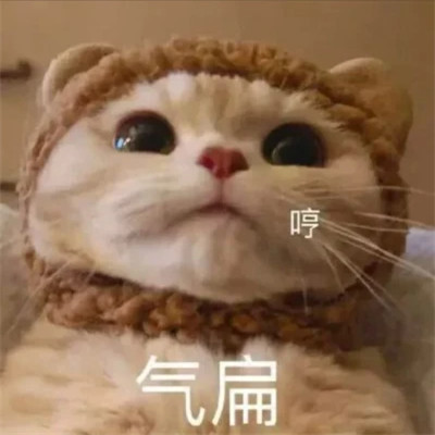 表情包图片大全2025