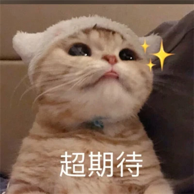 表情包图片大全2025